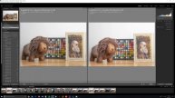 Fujifilm X-T3 vs X-T2 Which Camera Should You Buy?