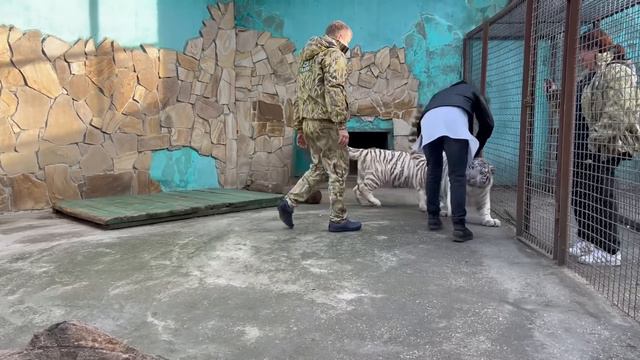 Олег Зубков еле остановил ХУЛИГАНОВ! Зубами и когтями! БЕЛЫЕ ТИГРЯТА хотели играть с Василием!
