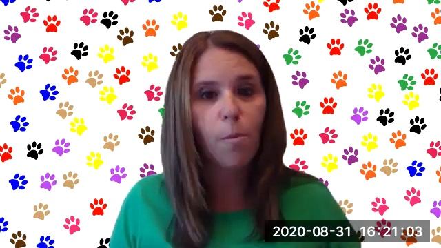Welcome to the Puppy Palace 2020