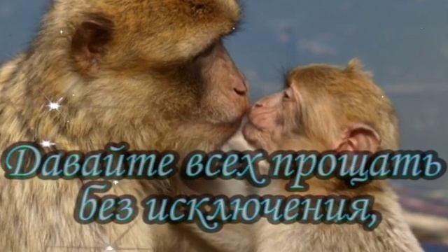 Прошу прощения