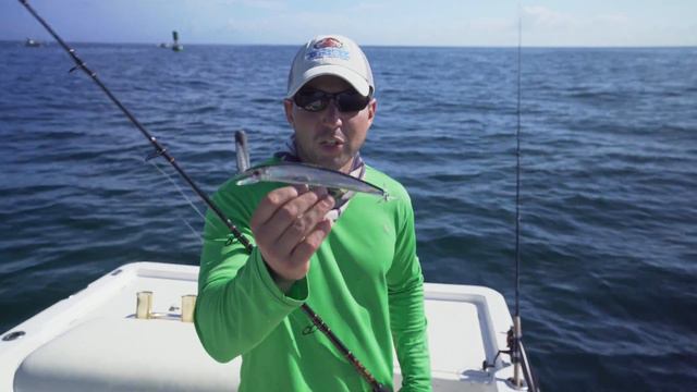 King Mackerel Trolling the Tampa Bay Shipping Channel Offshore