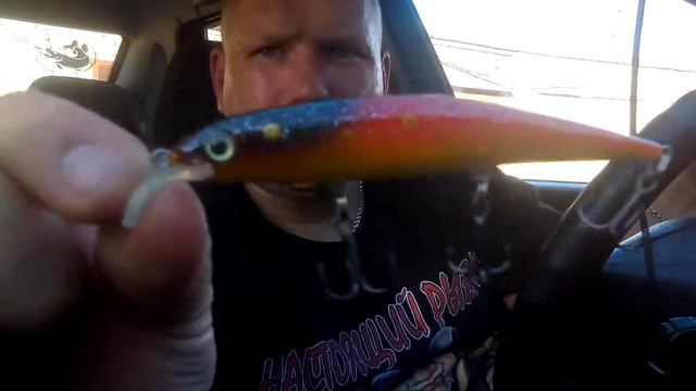 Воблеры Taiga Lures и Reef Runner