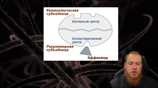 🧬Биохимия человека, лекция №4: биокатализ, ферменты🧬