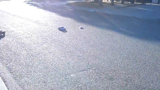 Electric RC race