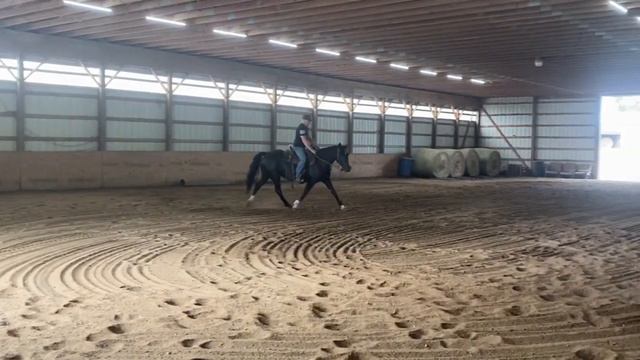 4 Simple Steps to teach the Canter. Horse's 1st day leaning to canter under saddle+de-spooking
