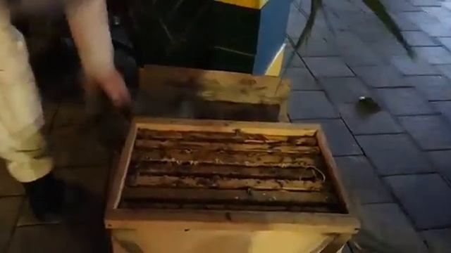 Как на Празднике улицы Ригас “въезжали” в Даугавпилс