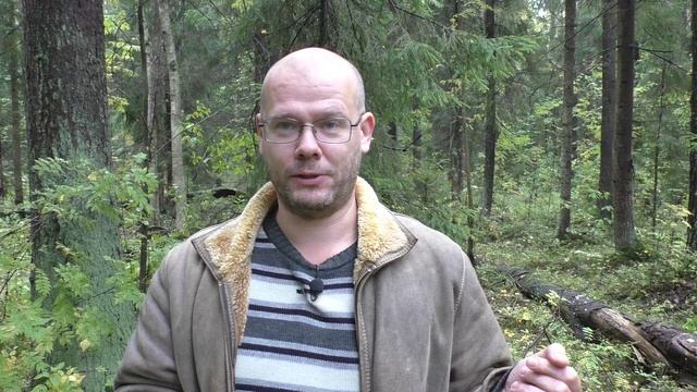 Будь ты проклята, война