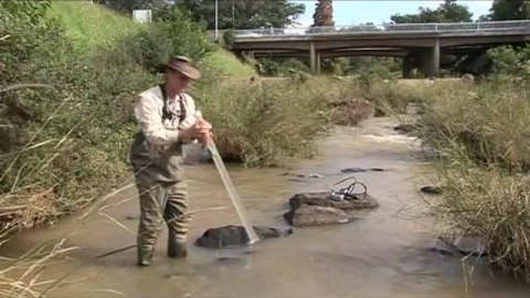 SASS5 aquatic biomonitoring techniques