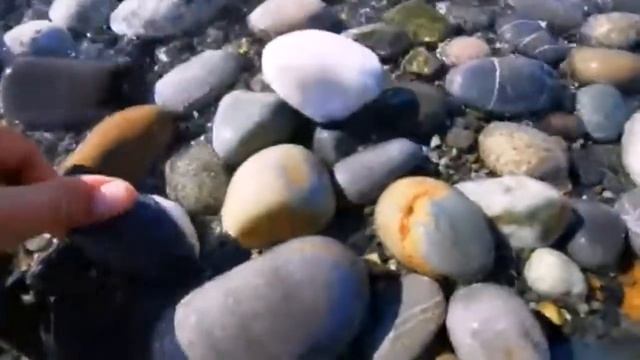 Морской сувенир на память о уходящем лете!