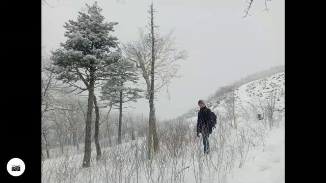 поход от Фокино на гору Криничная Приморского края