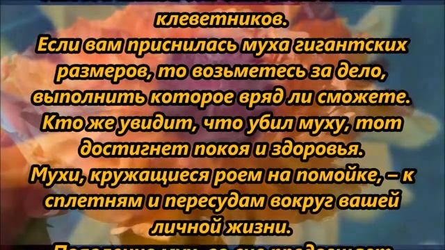 К чему снятся мухи