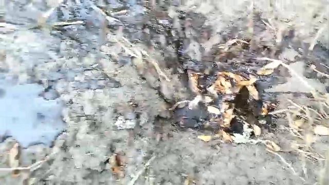 Как быстро избавиться от муравьев/САМЫЙ ЛУЧШИЙ И ПРОСТОЙ СПОСОБ БОРЬБЫ С НАСЕКОМЫМИ!