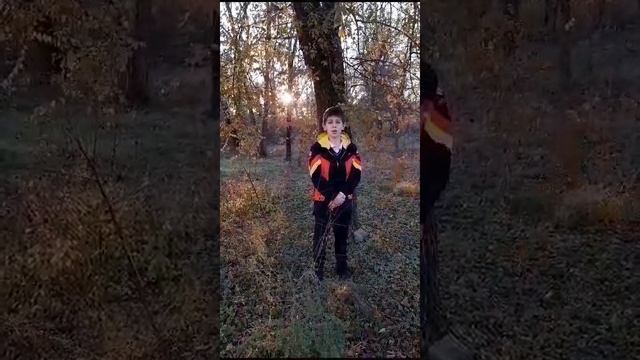 VID-20231113-WA0033.mp4