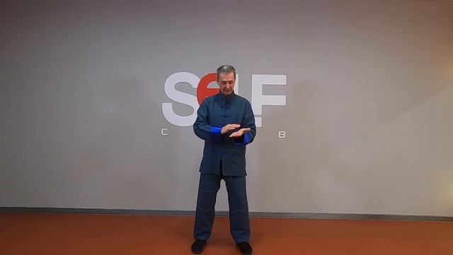 Цигун с Валерием Каравановым