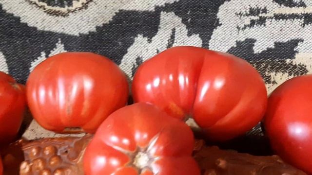 Медвежья лапа ? Вкуснейший помидор ? Суппер томат ? Друзьям с любовью ? Мира всем нам ?