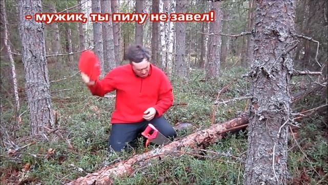 Четверо в лодке, не считая собаки