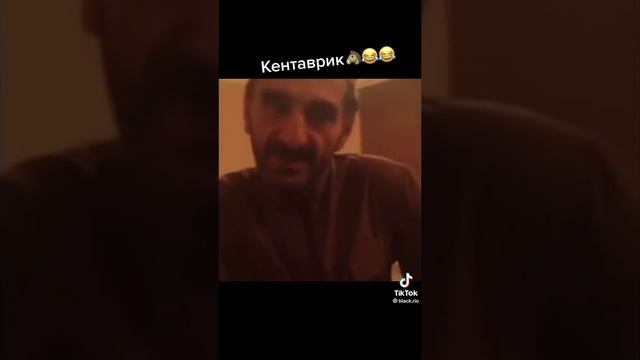 Мем кентаврик