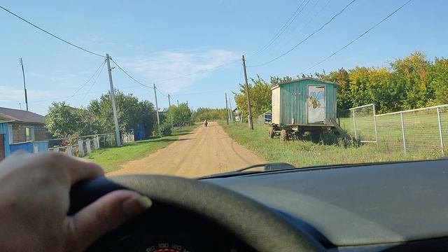 VID_20230916_114824.mp4