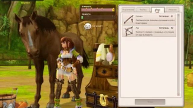 Alicia Online-Уход за лошадью(для тех кто новичок)