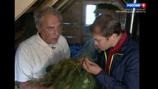 Заповедная область. Приоятье