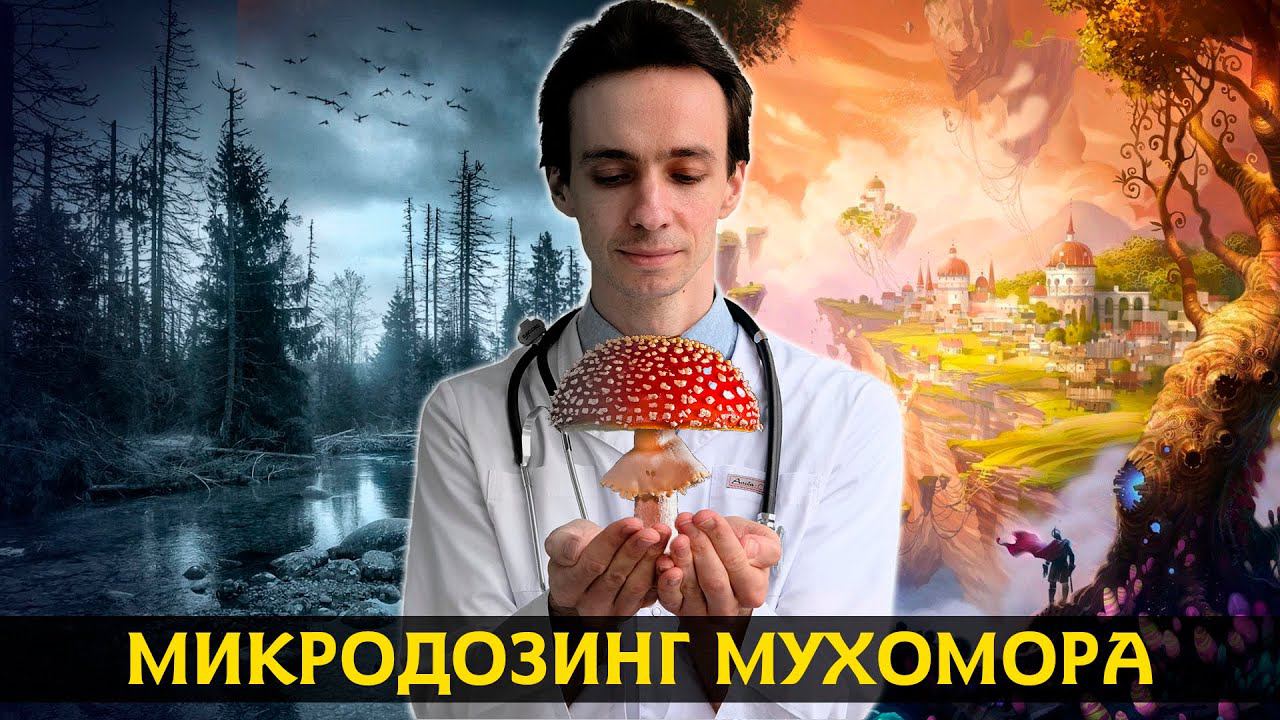 МУХОМОР Стоит ли им лечиться?  Самая полная информация от врача ⚕️ 2022