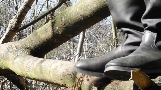 Kirzachi trample tree  Кирзачи топчут дерево