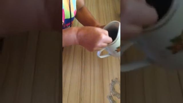 Солим огурцы.