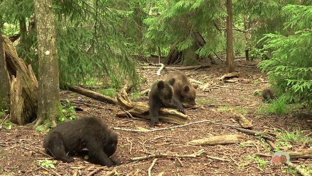 Заглянем с вами к младшеньким: выправляются, растут, меняются, все заняты важными делами.