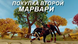 STAR STABLE. Покупка второй Марварской лошади 2020