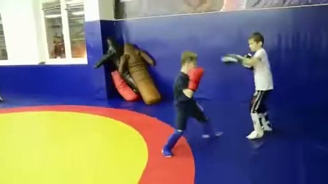 Клуб единоборств. Global Fight Gym