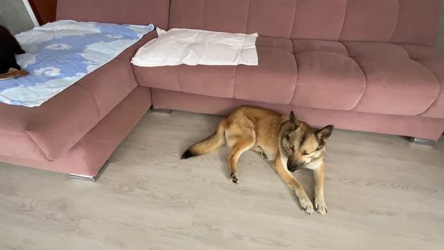 Душно, МММ разморило