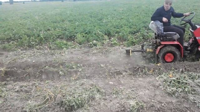 Беларус 132Н и измельчитель ботвы