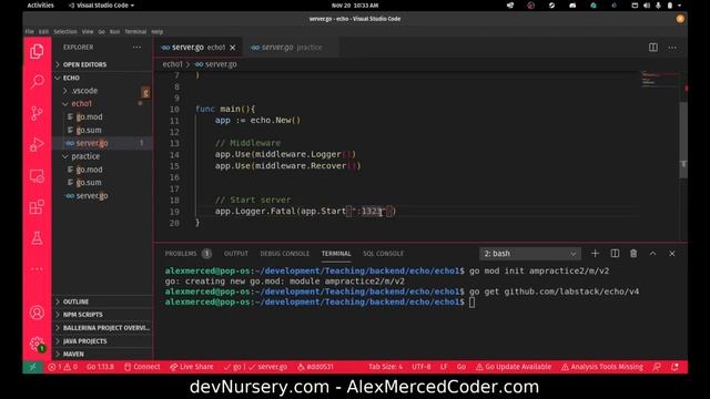 AM Coder - Golang - Updating Go, Go Modules, and API with Echo Framework