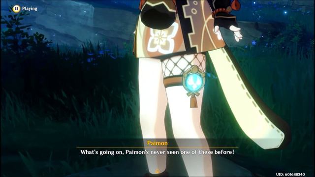 Find the Helper Yae Miko Spoke of...