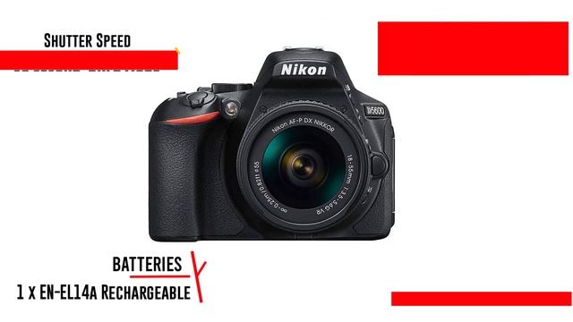 5 Best Cameras for Beginners in 2022