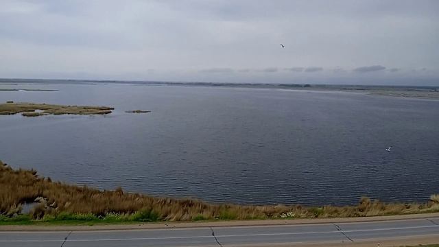Рубцовск.Вид с ЛЭП на озеро Ракиты.😊