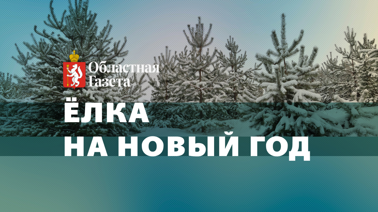 Легальная рубка
