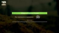 АбдульКарим Усман - как переводится выражение صلى الله عليه و سلم ?