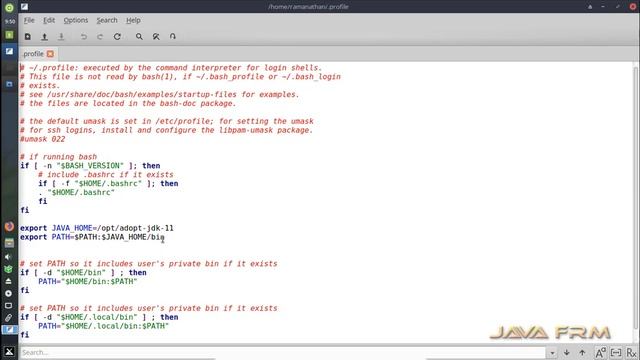AdoptOpenJDK 11 Installation on MX Linux 19 and set JAVA_HOME Environment Variable Globally