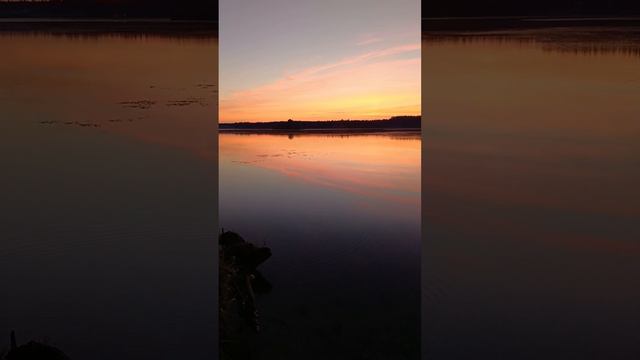1000027932.mp4