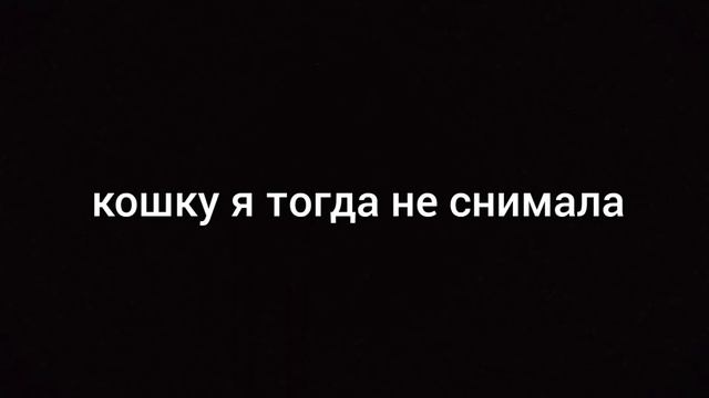 2 часть. "Бездомная кошка рожает"