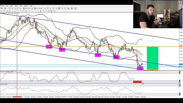 Great FOREX trade idea | NZD JPY | Study this!