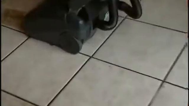 Lavor Sprinter поломоечная машина