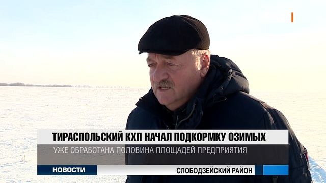 Тираспольский КХП начал подкормку озимых