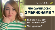 ЭКО. Что случилось с эмбрионами?