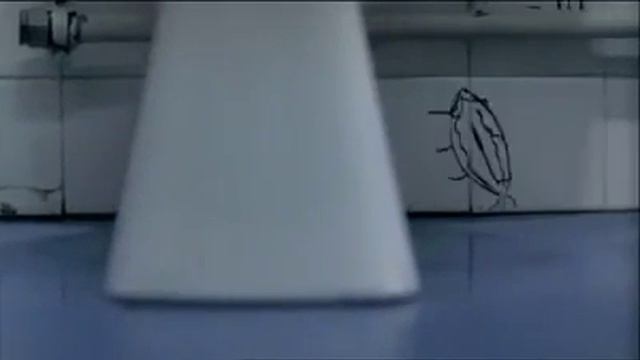 Казахстанская туалет