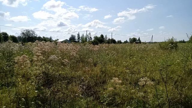 д. Новоселово ул. Центральная