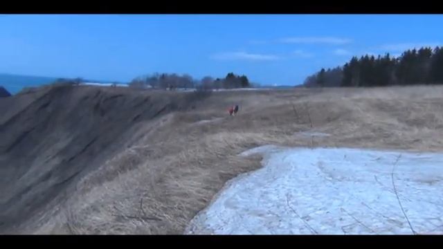 От Бошняково до реки Белкина и обратно.