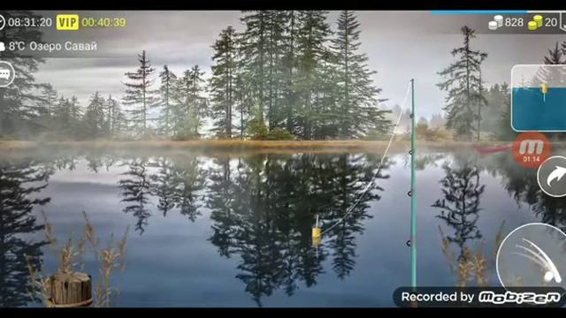 играю в my fishing world это #1видео #100 #1k
