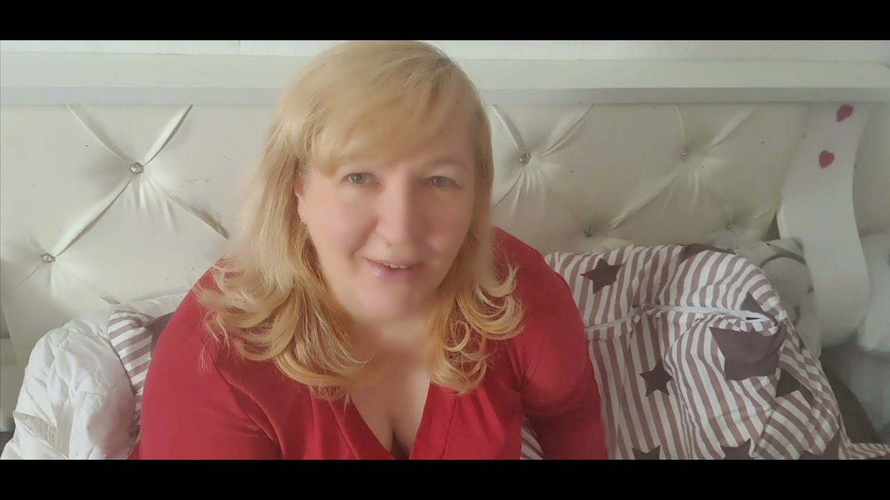 Домашние питомцы. Лабрадор. Шотландская вислоухая. Прогулка с Лабрадором.